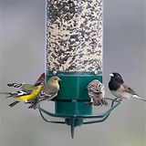 Outdoor Hanging Bird Feeder – Squirrel-Resistant Design